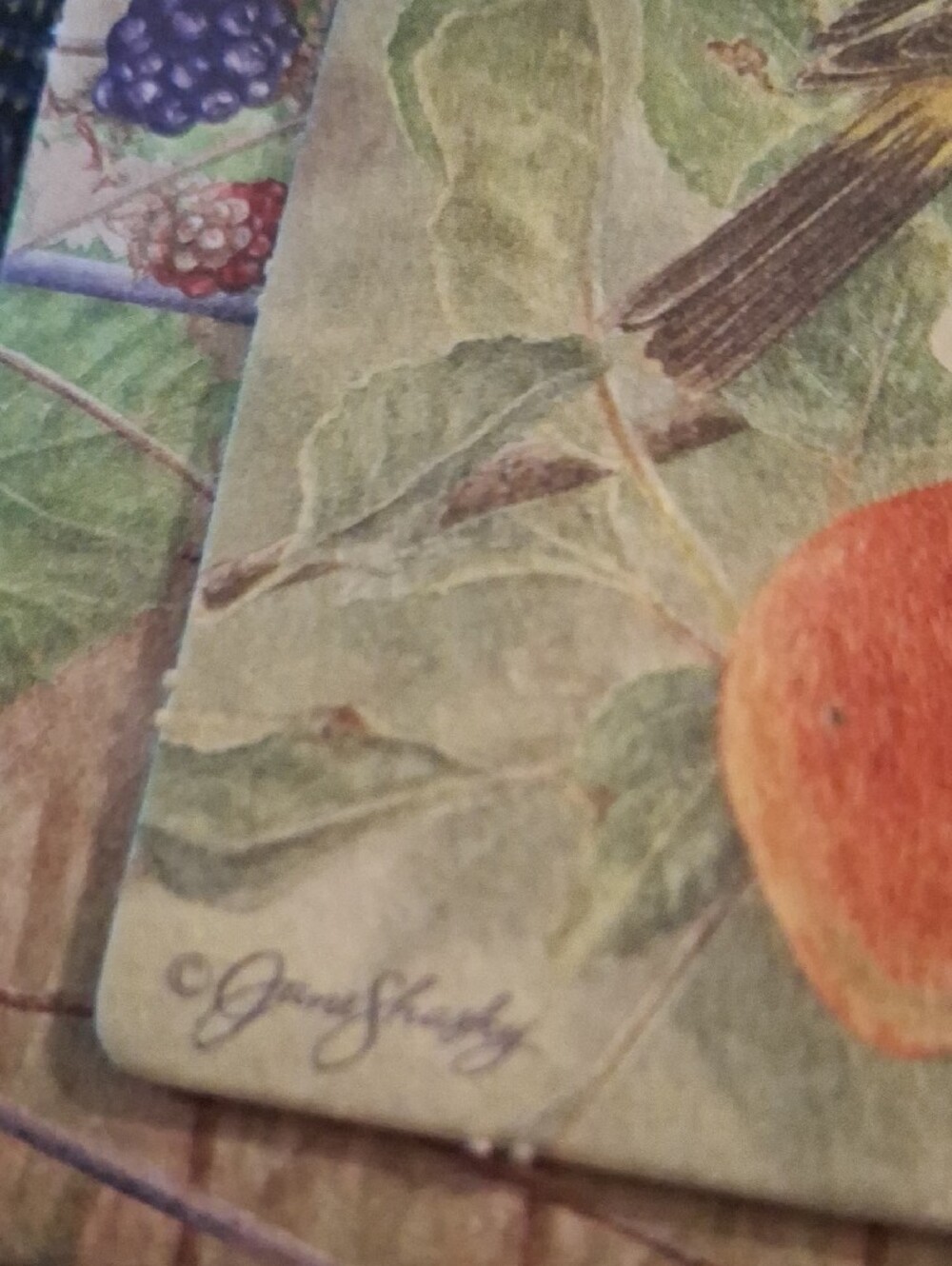 Set of 4 Decorative Bird Coasters with Floral and Fruit Artwork - Picture 5 of 5